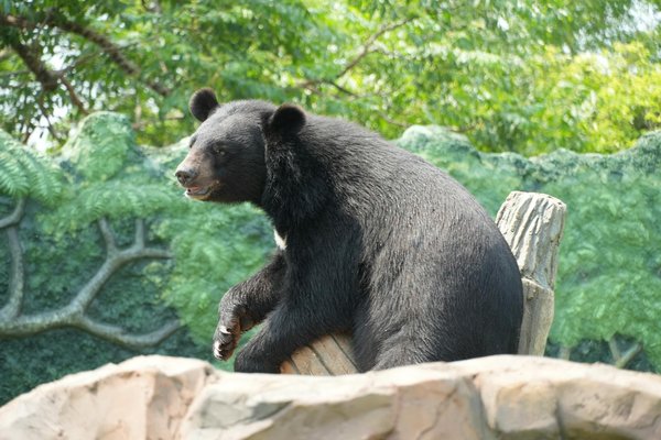 Maximisez Votre Salaire : Guide Essentiel pour Optimiser Votre Fiche de Paie et Réduire vos Impôts